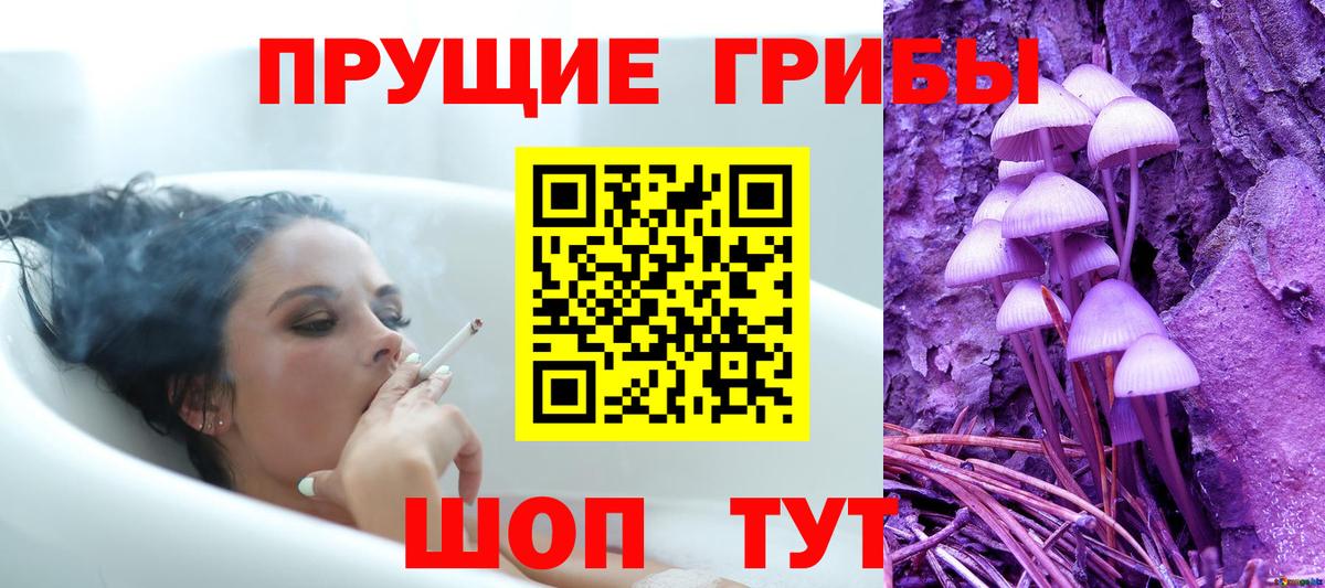 Вышний Волочёк  Галлюциногенные грибы Psilocybine cubensis  Вход с VPN 